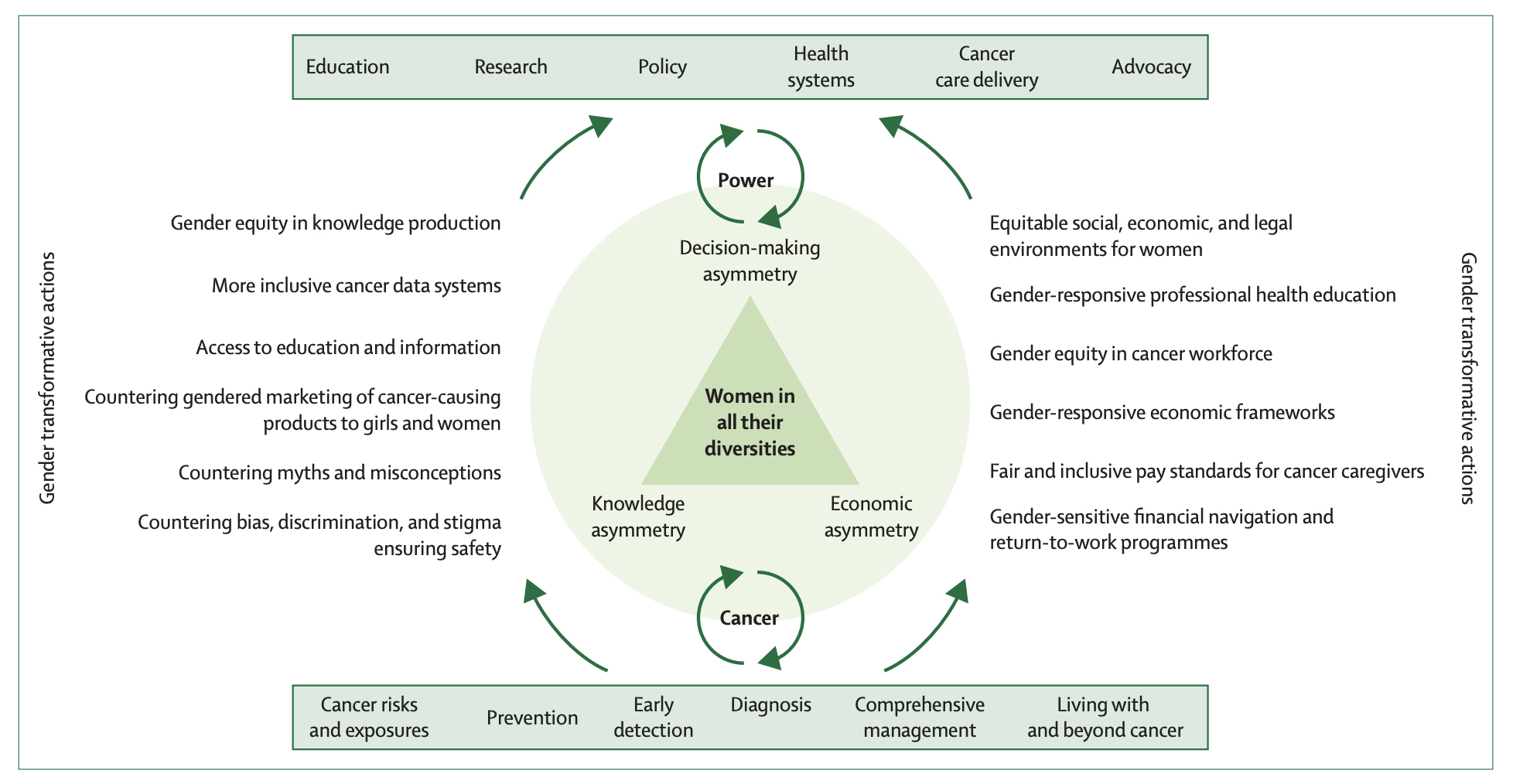 Diagram on relation between gender and cancer